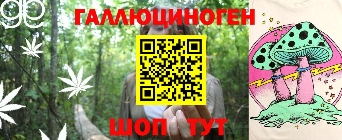 Псилоцибиновые грибы Cubensis  Вход с VPN  Ульяновск 